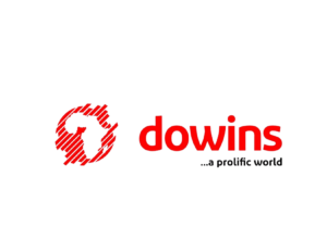 Dowins Global